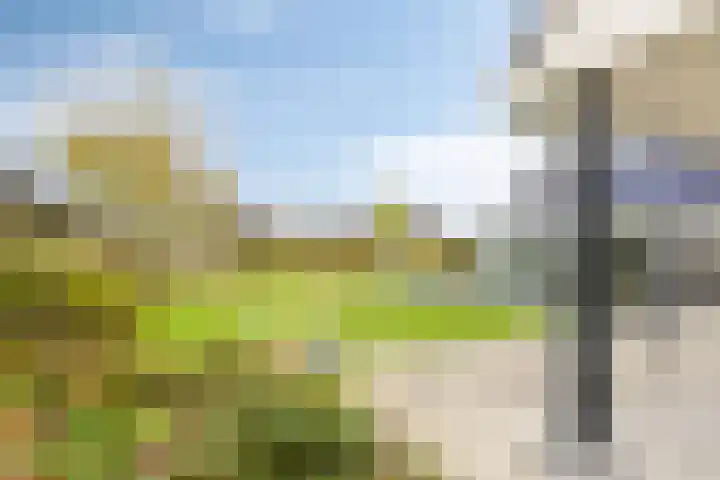 Maasstraat 22 Uden thumbnail 58