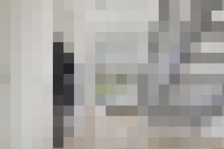 Maasstraat 22 Uden thumbnail 6