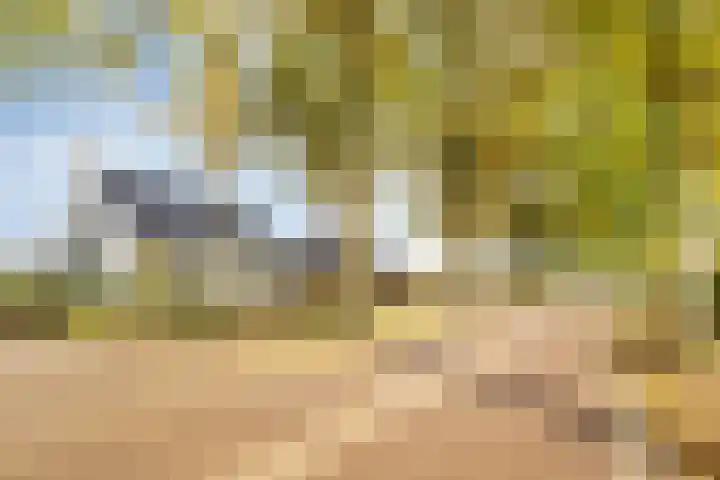 Maasstraat 22 Uden thumbnail 60
