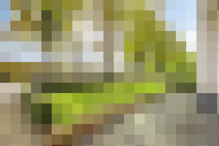 Maasstraat 22 Uden thumbnail 62