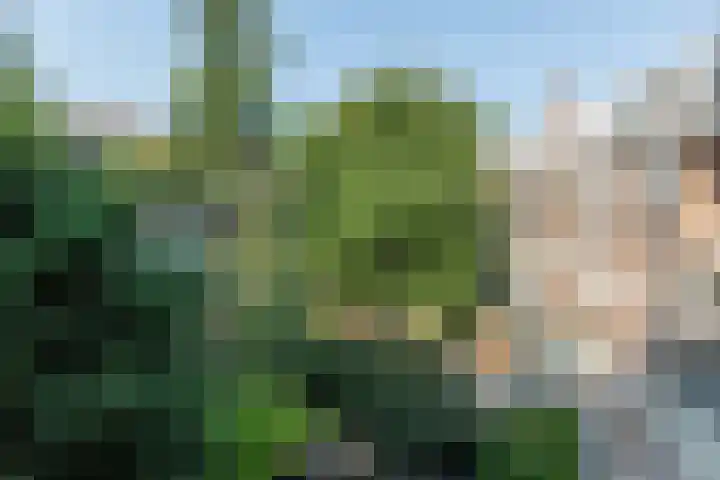 Maasstraat 24 1 Amsterdam thumbnail 16