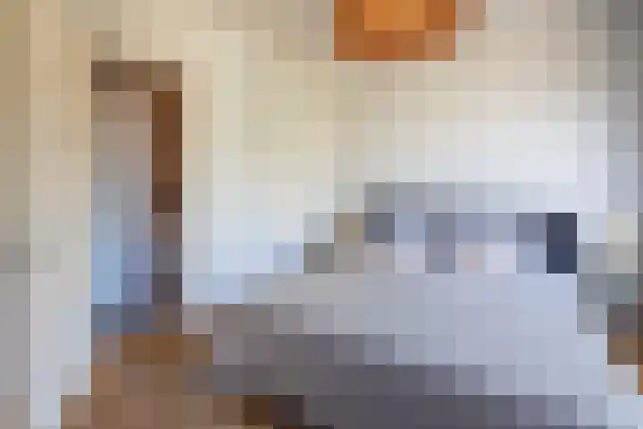 Maasstraat 24 1 Amsterdam thumbnail 21