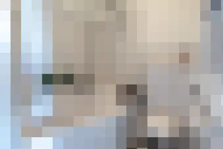 Maasstraat 24 1 Amsterdam thumbnail 22