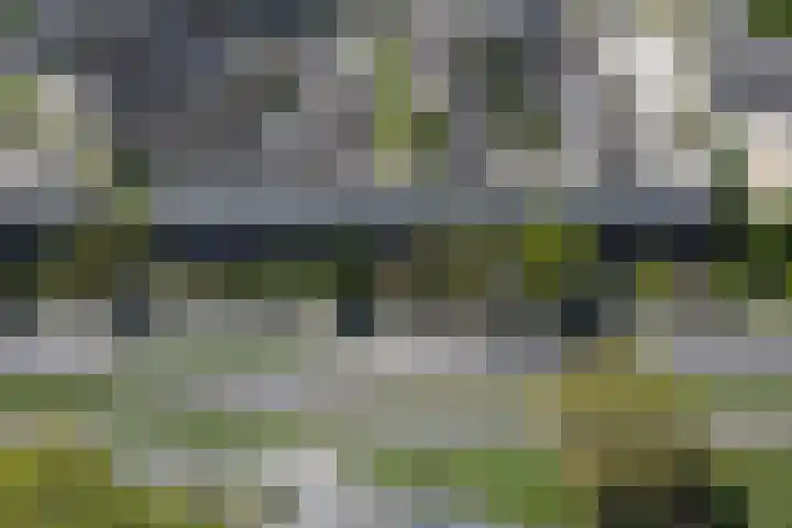 Maasstraat 28 Almelo thumbnail 24