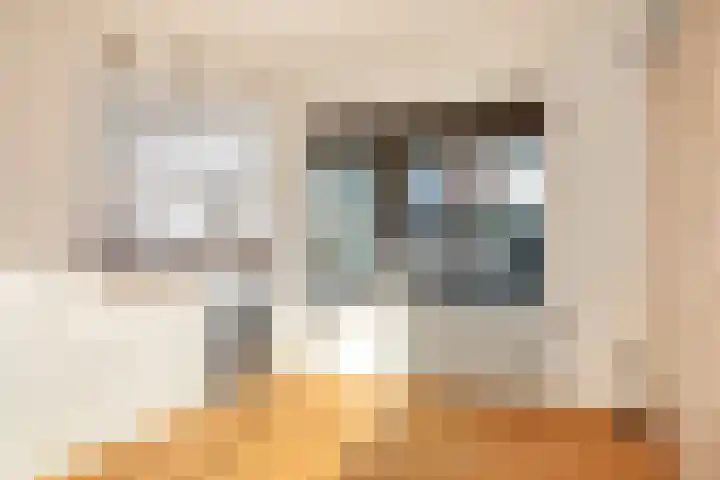 Maasstraat 3 Deventer thumbnail 11