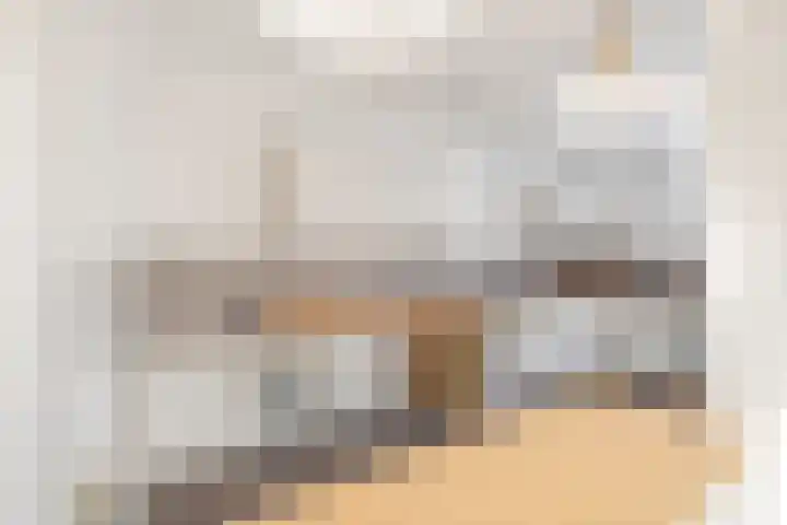 Maasstraat 3 Deventer thumbnail 12