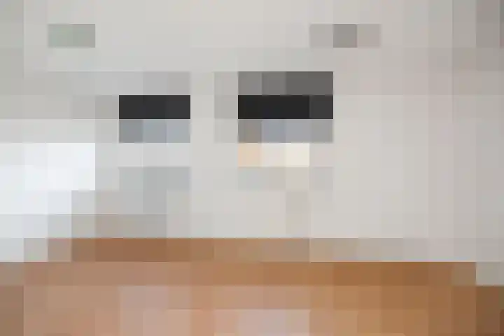 Maasstraat 3 Deventer thumbnail 21