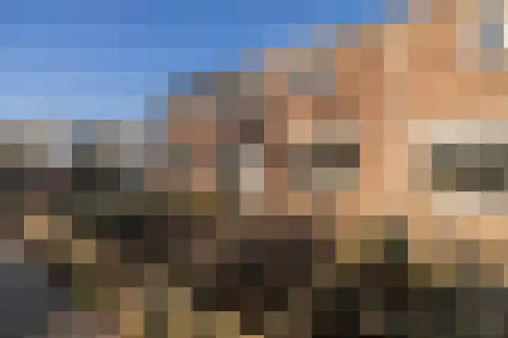 Maasstraat 3 Deventer thumbnail 4