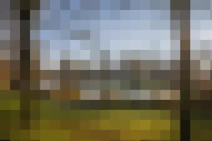 Maasstraat 3 Deventer thumbnail 5
