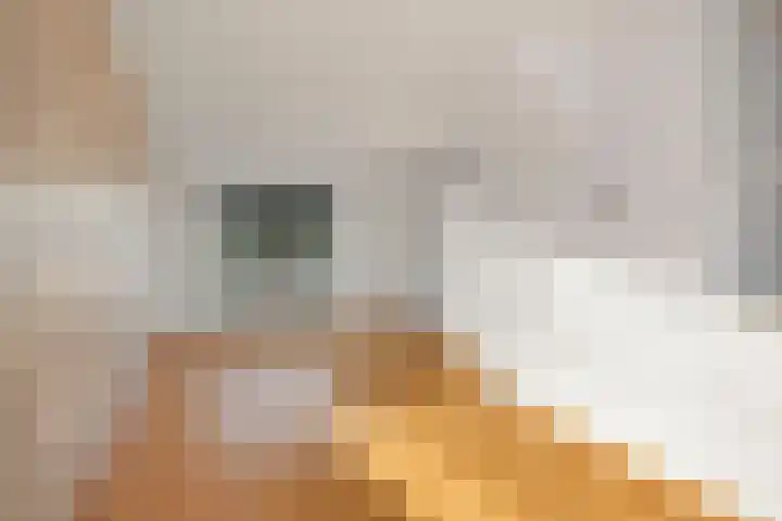 Maasstraat 3 Deventer thumbnail 8