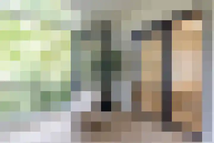 Maasstraat 3 E Rotterdam thumbnail 12