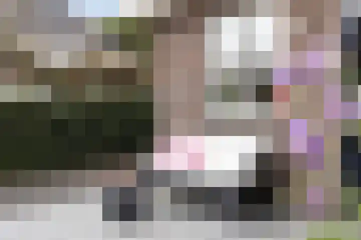 Maasstraat 4 b Sambeek thumbnail 59
