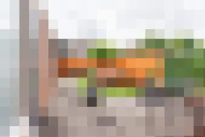 Maasstraat 40 Ulft thumbnail 33