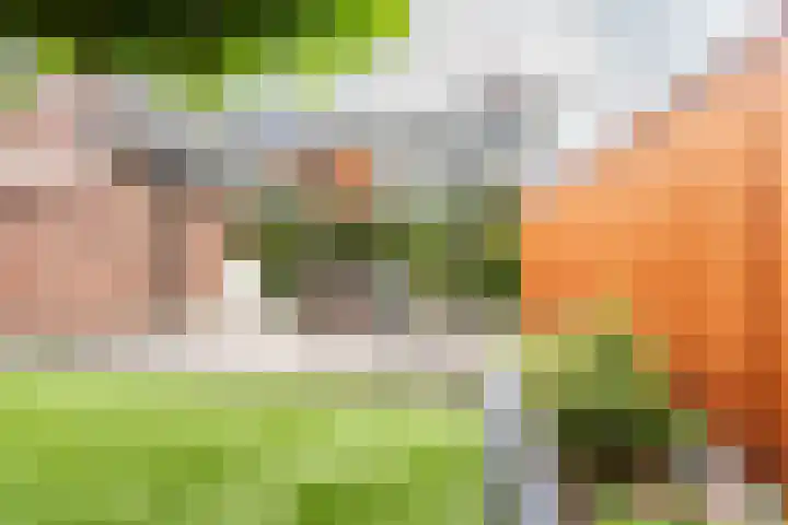 Maasstraat 40 Ulft thumbnail 36