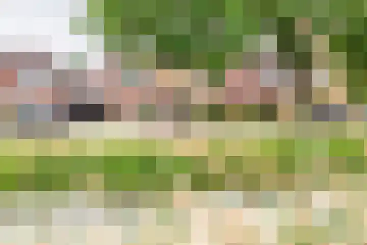 Maasstraat 40 Ulft thumbnail 41