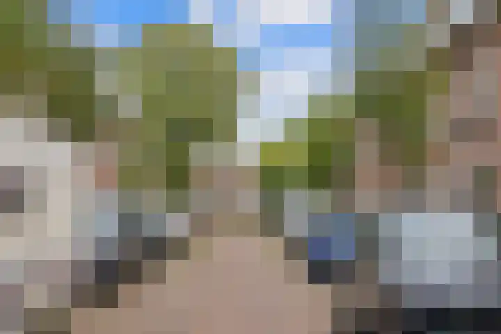 Maasstraat 46 Haarlem thumbnail 47