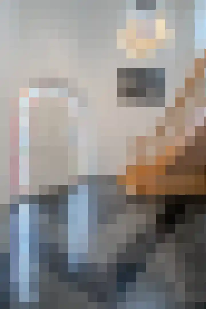 Maasstraat 8 Obbicht thumbnail 7