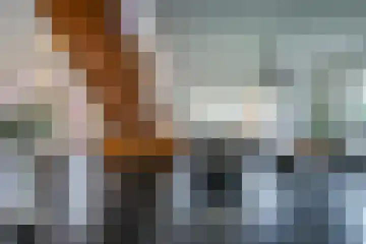 Maasstraat 8 Obbicht thumbnail 9