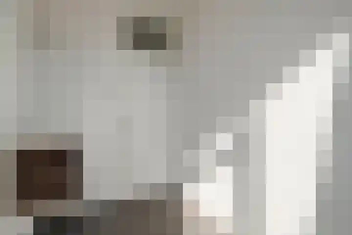 Maasstraat 92 Purmerend thumbnail 18