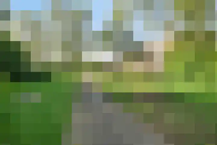 Maasstraat 92 Purmerend thumbnail 25