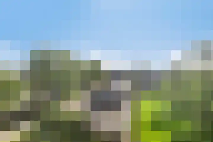 Maasstraat 92 Purmerend thumbnail 8
