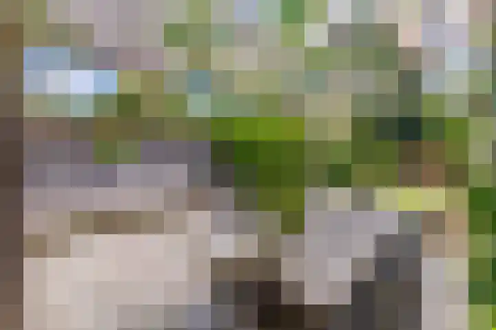 Maastrichterlaan 120 Beek thumbnail 39