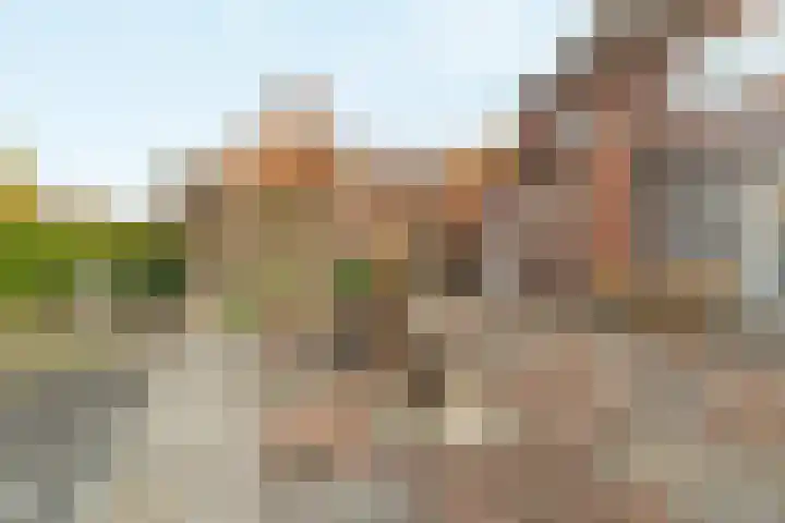 Maasweg 43 Gennep thumbnail 23