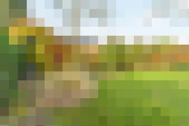 Maasweg 43 Gennep thumbnail 26