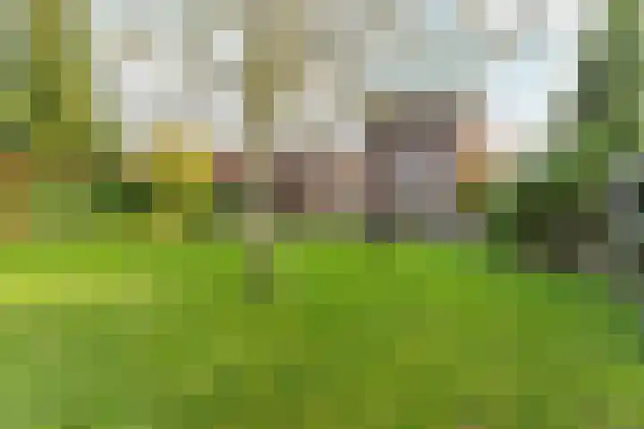 Maasweg 43 Gennep thumbnail 27