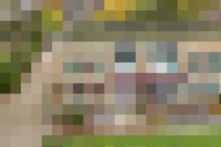 Maat 29 Eibergen thumbnail 31