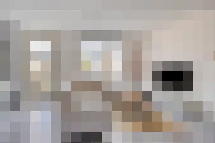 Maatsestraat 4 E Uden thumbnail 10