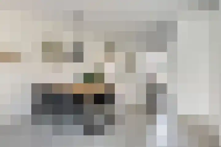 Maatsestraat 4 E Uden thumbnail 16