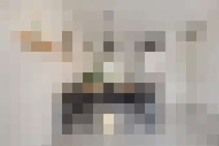 Maatsestraat 4 E Uden thumbnail 17