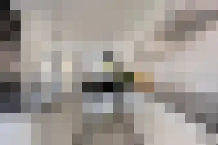 Maatsestraat 4 E Uden thumbnail 24