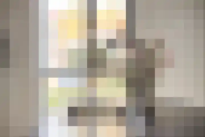 Maatsestraat 4 E Uden thumbnail 25