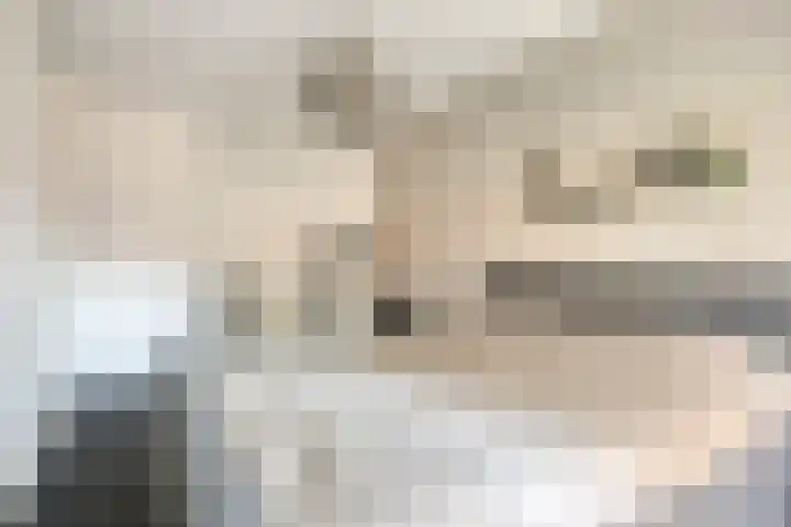 Maatsestraat 4 E Uden thumbnail 32