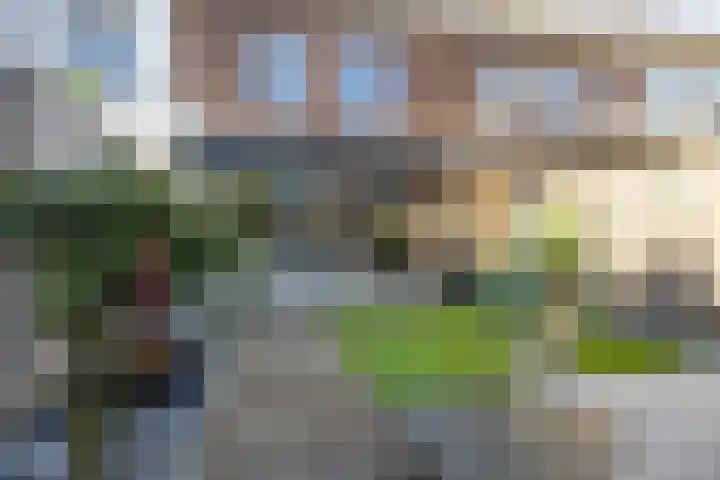 Maatsestraat 4 E Uden thumbnail 46