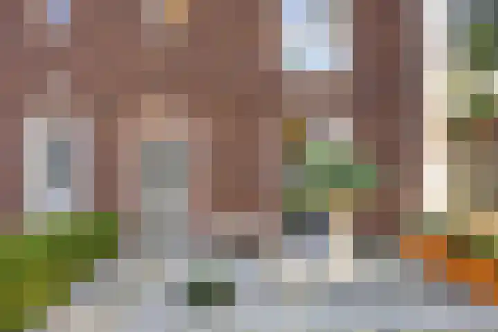 Maatsestraat 4 E Uden thumbnail 5