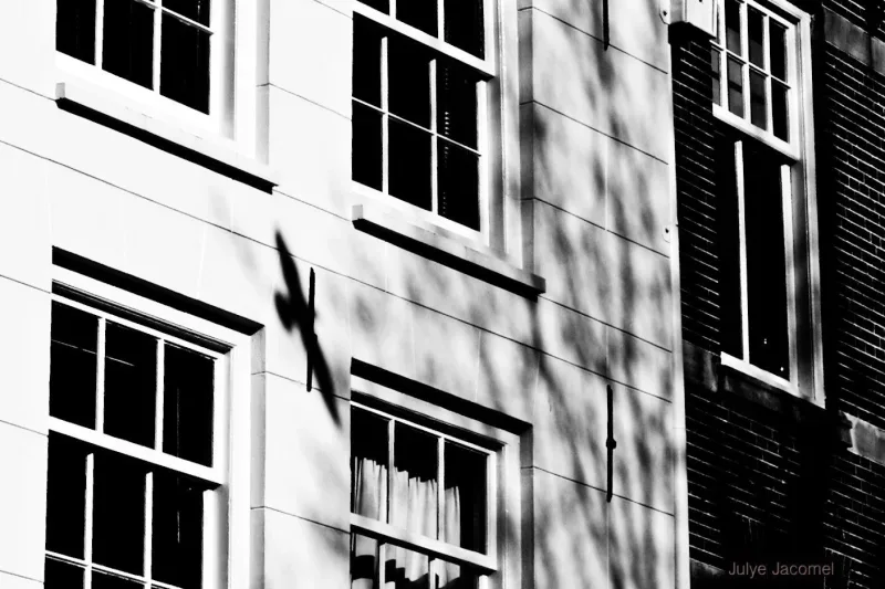 Photo de bureau de Mac Housing Makelaars