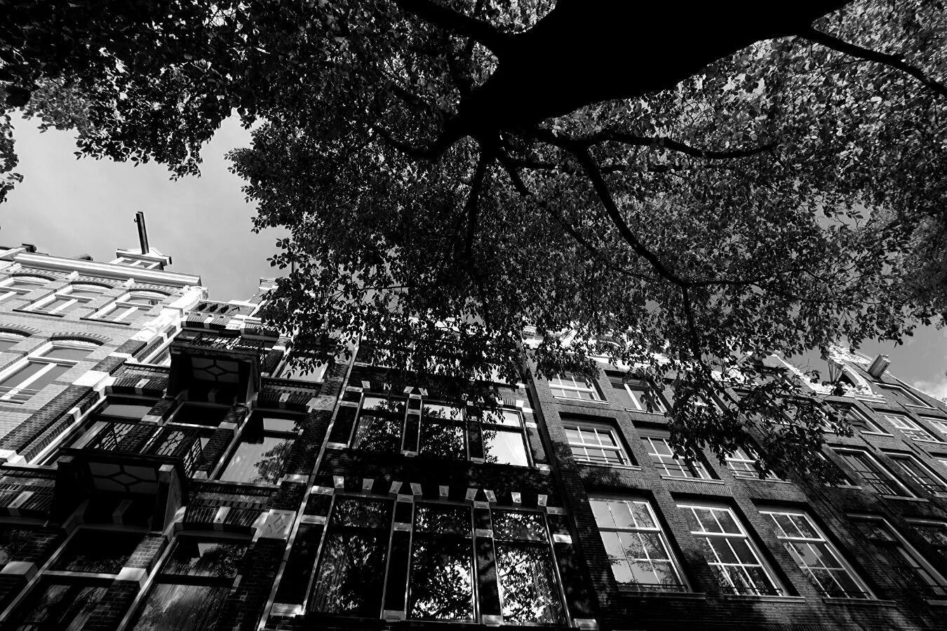 Team foto van Mac Housing Makelaars