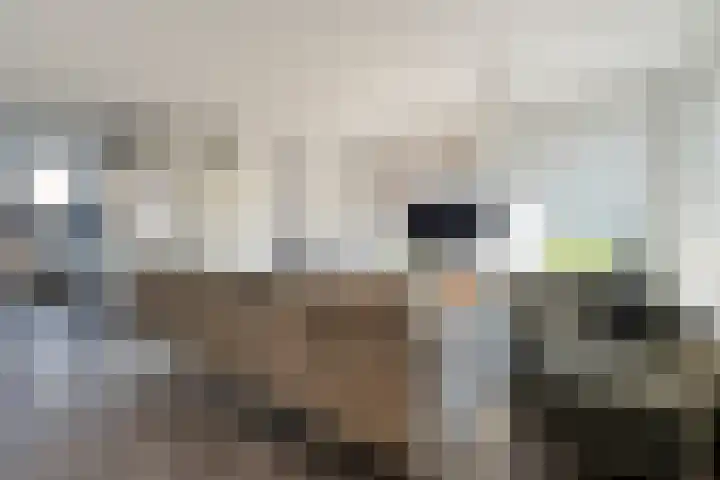 Mackayware 70 Zwolle thumbnail 10