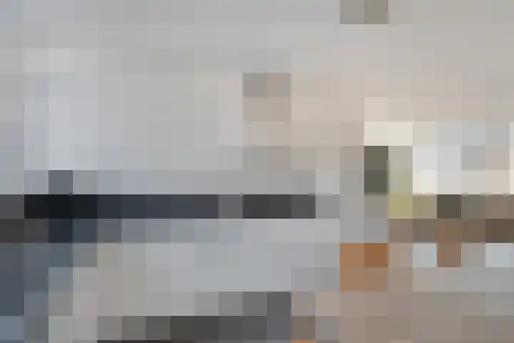 Mackayware 70 Zwolle thumbnail 13