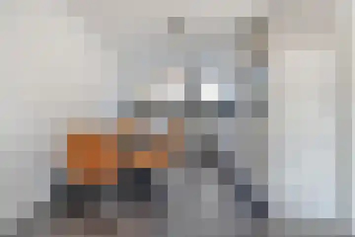 Mackayware 70 Zwolle thumbnail 15