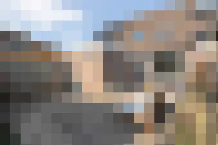 Mackayware 70 Zwolle thumbnail 33