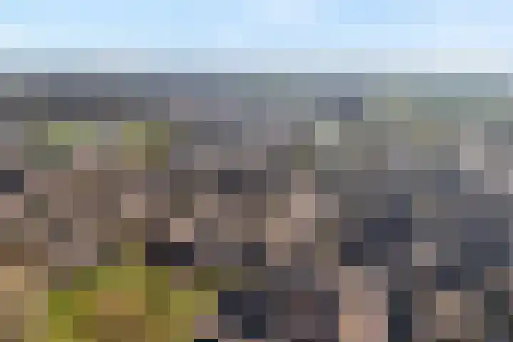 Mackayware 70 Zwolle thumbnail 6