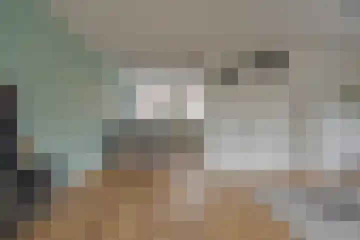Mackayware 98 Zwolle thumbnail 15