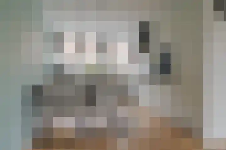 Mackayware 98 Zwolle thumbnail 16