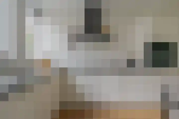 Mackayware 98 Zwolle thumbnail 19