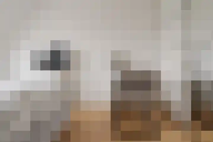 Mackayware 98 Zwolle thumbnail 28