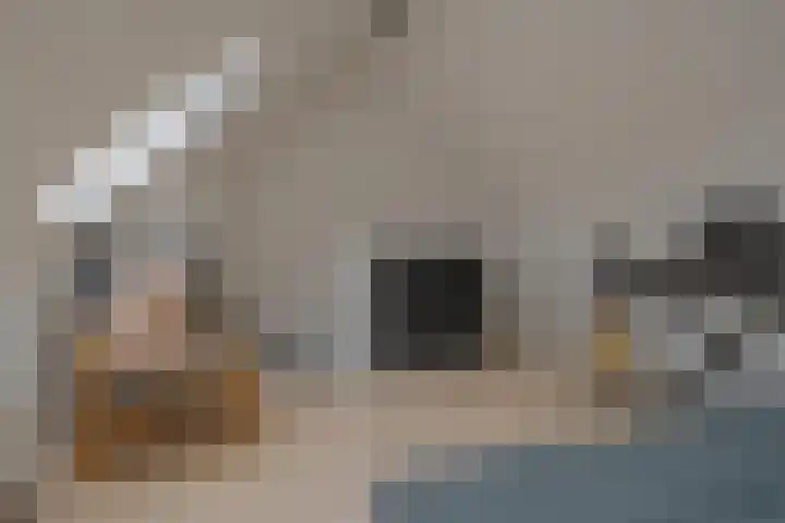 Mackayware 98 Zwolle thumbnail 39